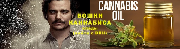мдпв Мегион