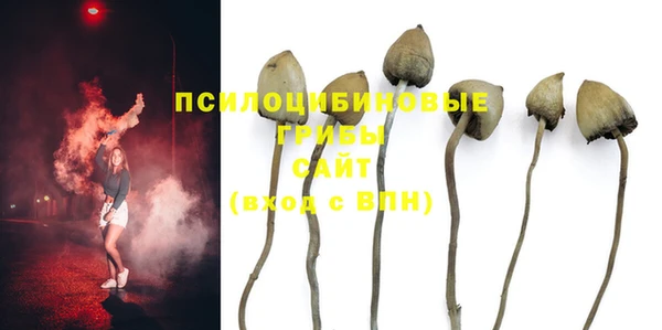 хмурый Алексеевка