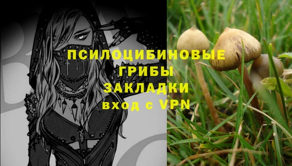 прущая мука Алзамай