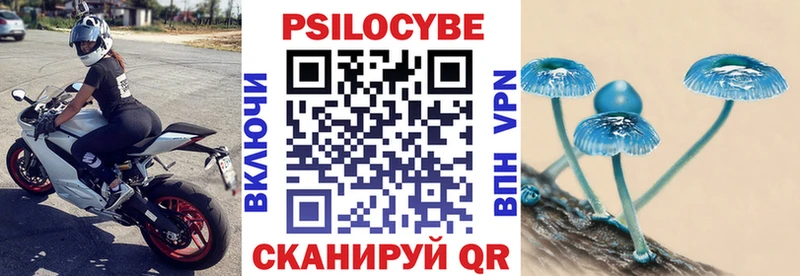 где купить наркоту  Павловская  Псилоцибиновые грибы Magic Shrooms 