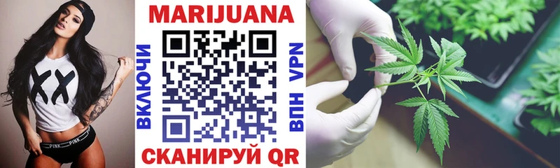 Канабис SATIVA & INDICA  Павловская 